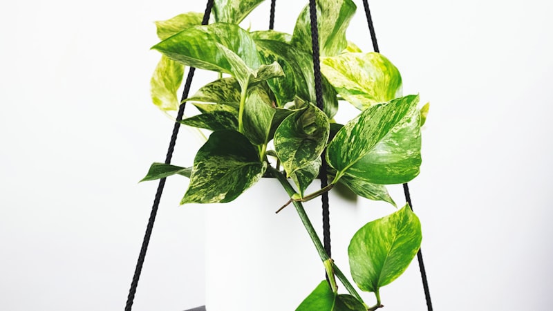 曼城队更衣室庆祝夺冠，球员喷洒香槟的欢乐场景